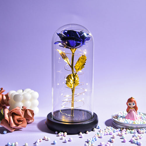 Enchanted Galaxy LED Preserved Rose Beauty and the Beast Glass Dome