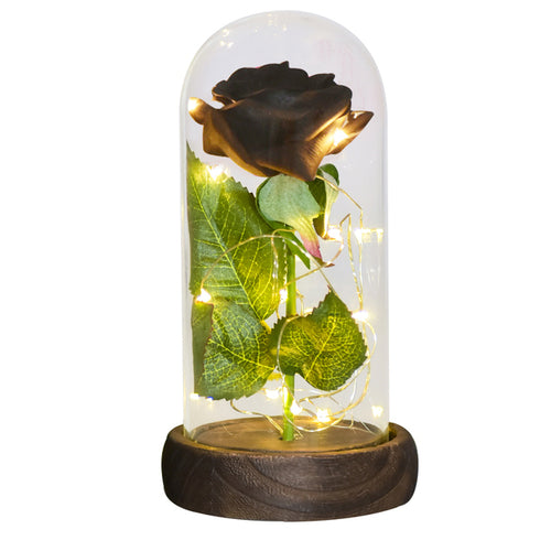 Enchanted Galaxy LED Preserved Rose Beauty and the Beast Glass Dome
