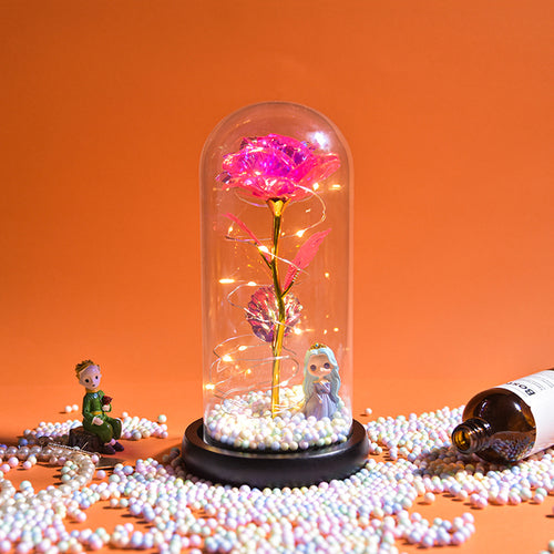 Enchanted Galaxy LED Preserved Rose Beauty and the Beast Glass Dome