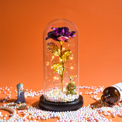 Enchanted Galaxy LED Preserved Rose Beauty and the Beast Glass Dome