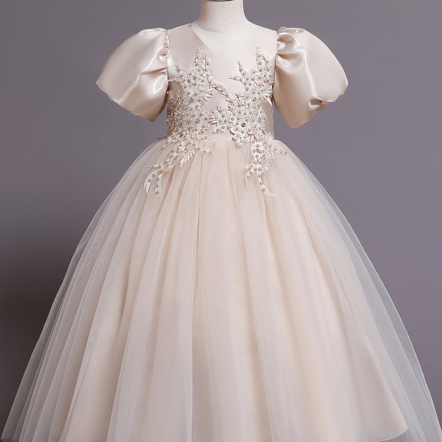 Elegant V-neck Puff Sleeve Embroidered Princess Dress
