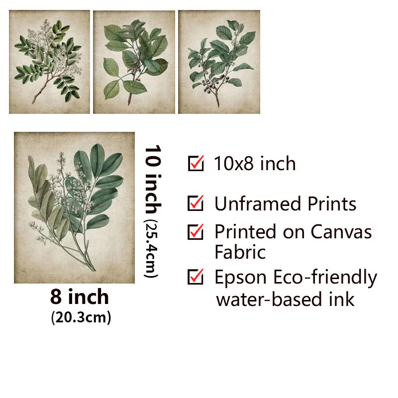 Vintage Plant Canvas Print Wall Art Set
